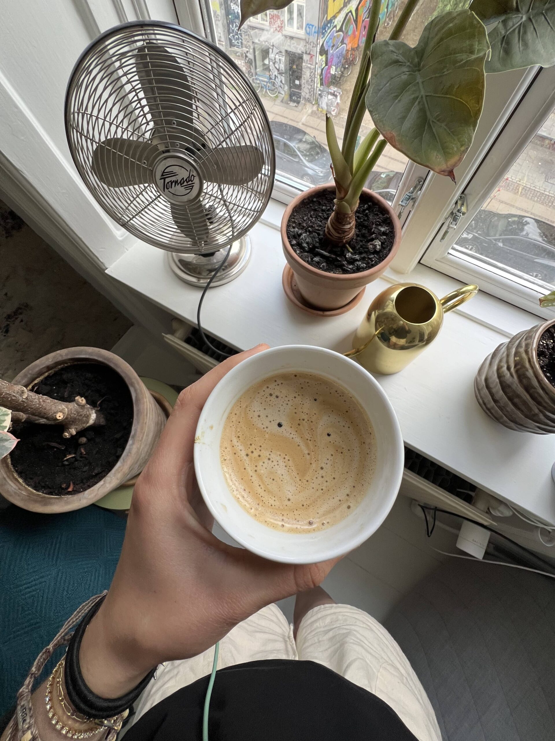 latte in apartment