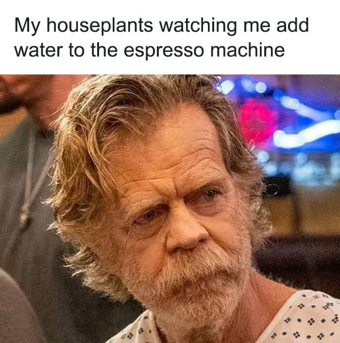 espresso memes